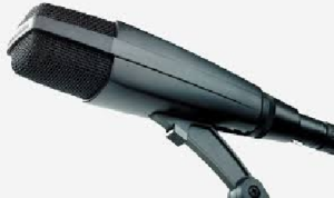 Sennheiser MD-421-II Microphone