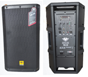 Kevler TWS-12D Active Speaker