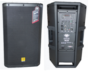Kevler TWS-15D Active Speaker