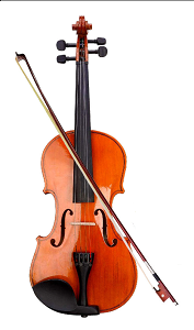Ziko Violin Glossy Violin